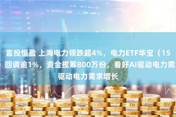富投恒盈 上海电力领跌超4%，电力ETF华宝（159146）回调逾1%，资金揽筹800万份，看好AI驱动电力需求增长
