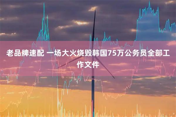老品牌速配 一场大火烧毁韩国75万公务员全部工作文件